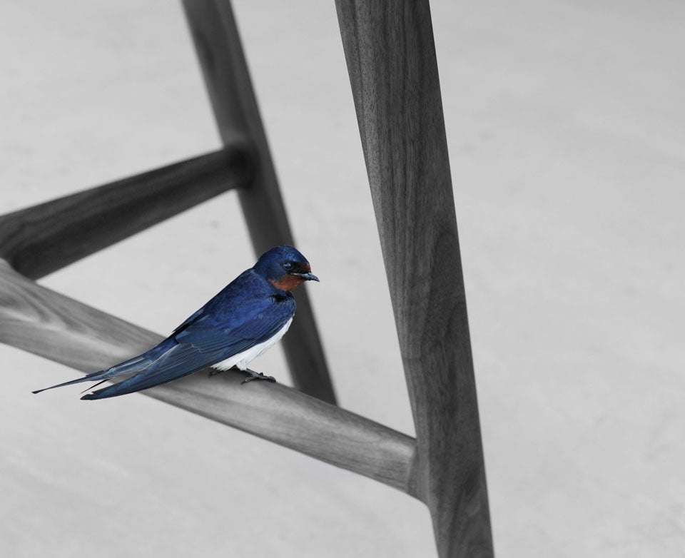 GOLONDRINA Casual Chair